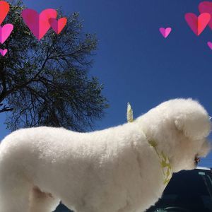 Meet your Posher, Jenni